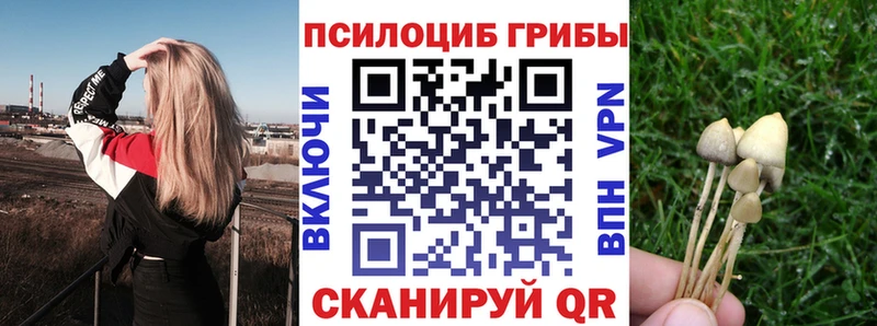 Псилоцибиновые грибы мицелий  Пересвет 